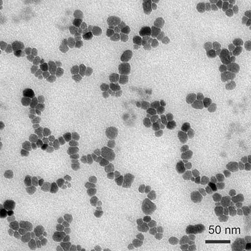 TEM image of lead nanoparticles formed in situ by precipitation from lead nitrate solution. Image courtesy Dr. Albert D. Dukes, III, Lander University.