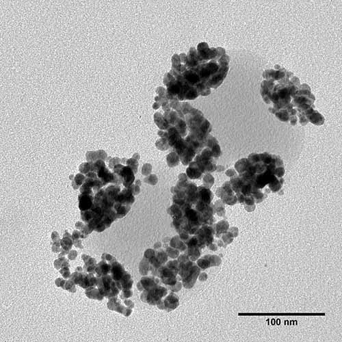 Silica nanoparticle decorated with smaller, gold nanoparticles. Image courtesy Mona Treguer, ICMCB, France.