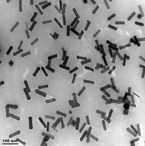 Gold nanorods imaged with in situ liquid cell TEM. Image Courtesy NC State University.