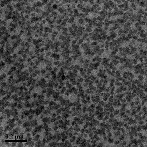 TEM image of ribosome proteins in buffer that were captured on the E-chip window. Image courtesy Dr. Deborah Kelly, Virginia Tech.