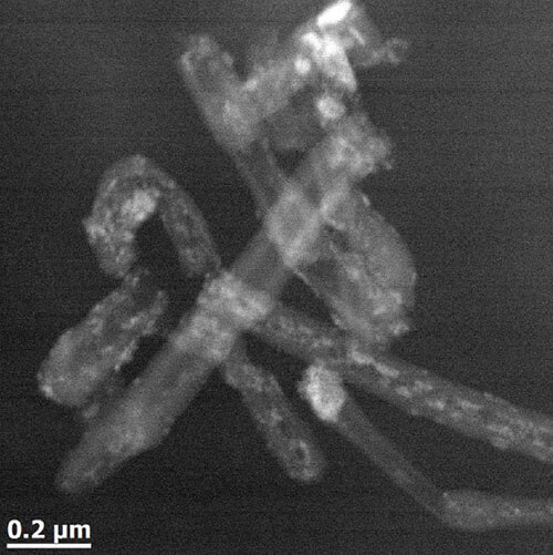 Multi-wall carbon nanotubes filled with iron oxide nanoparticles. Image courtesy Damien Alloyeau; U. Paris, Diderot.