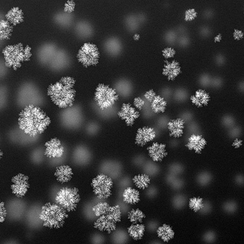 Nucleated nanoparticles suspended in liquid using in situ microscopy. Image courtesy Aidan Taylor, University of California, Santa Barbara.